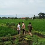 Percepat Sertipikasi Tanah Wakaf, Kantah Jombang Lakukan Pengukuran di Enam Kecamatan